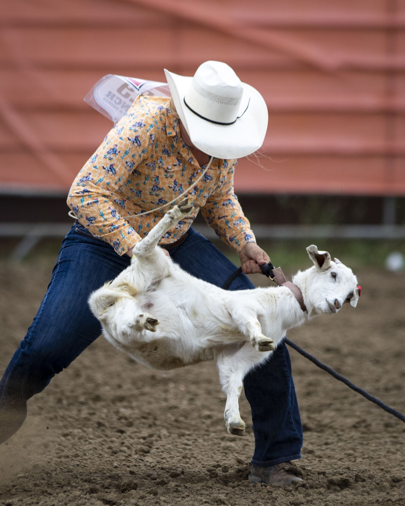Montana High School Rodeo Association state championships